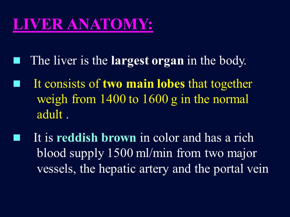 A research on the largest organ of the body the liver